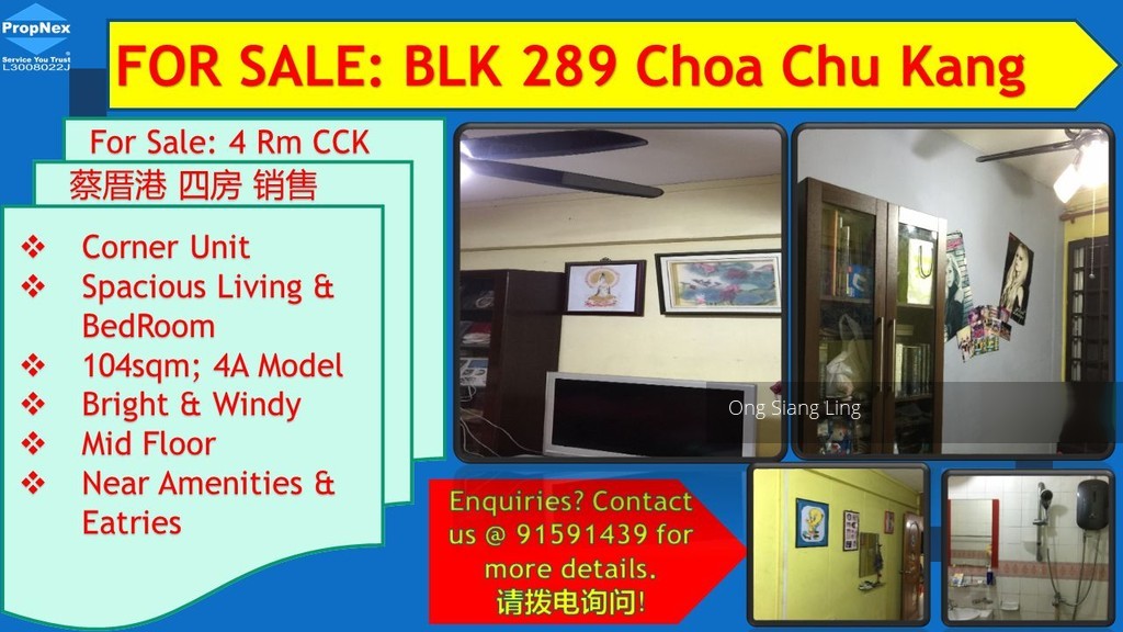 Choa Chu Kang Avenue 3 thumbnail photo